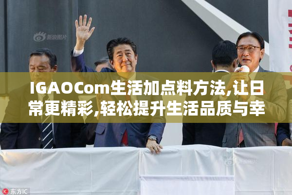 IGAOCom生活加点料方法,让日常更精彩,轻松提升生活品质与幸福感