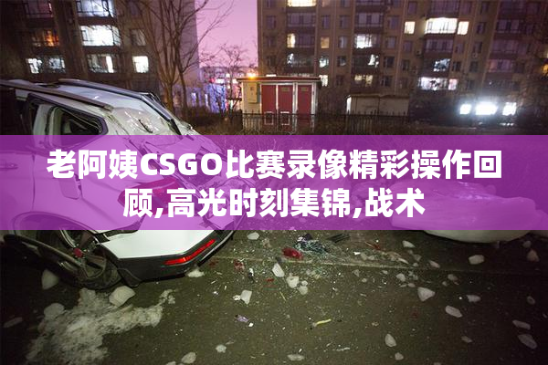 老阿姨CSGO比赛录像精彩操作回顾,高光时刻集锦,战术
