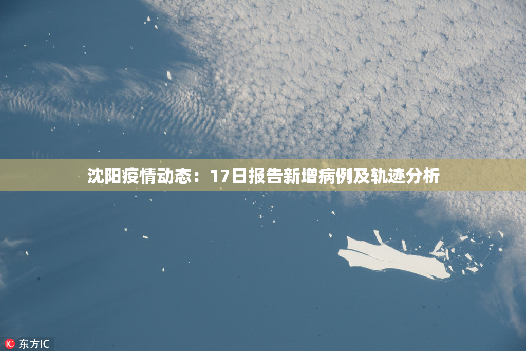 沈阳疫情动态：17日报告新增病例及轨迹分析