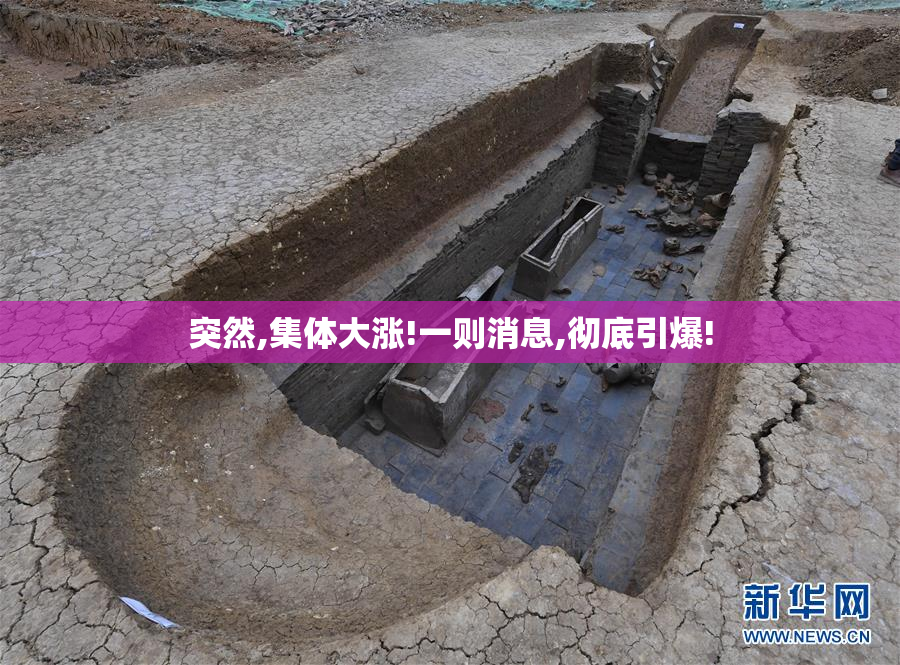 突然,集体大涨!一则消息,彻底引爆!