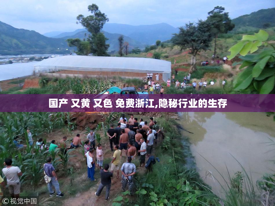 国产 又黄 又色 免费浙江,隐秘行业的生存