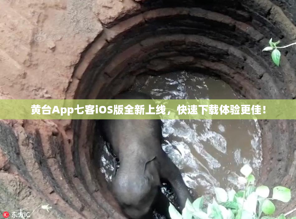 黄台App七客iOS版全新上线，快速下载体验更佳！