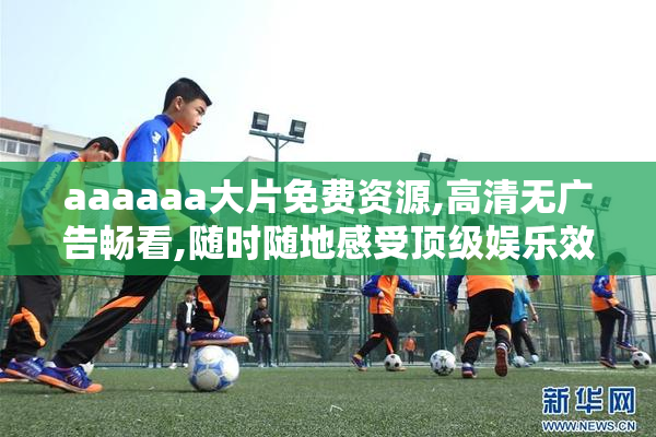 aaaaaa大片免费资源,高清无广告畅看,随时随地感受顶级娱乐效果