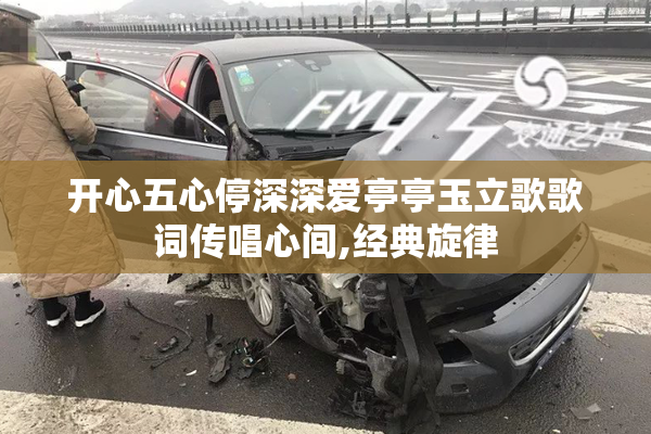开心五心停深深爱亭亭玉立歌歌词传唱心间,经典旋律