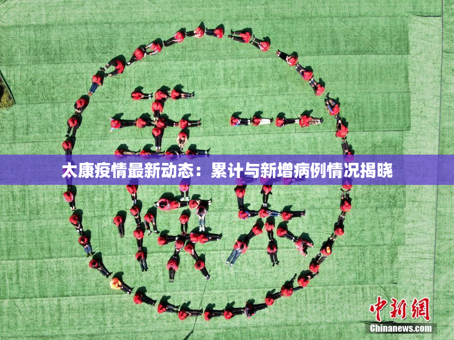 太康疫情最新动态：累计与新增病例情况揭晓