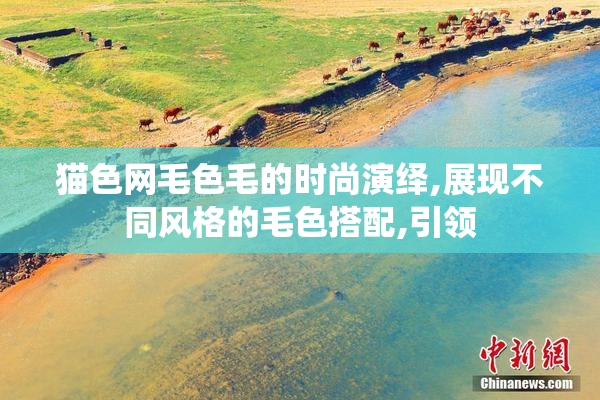 猫色网毛色毛的时尚演绎,展现不同风格的毛色搭配,引领