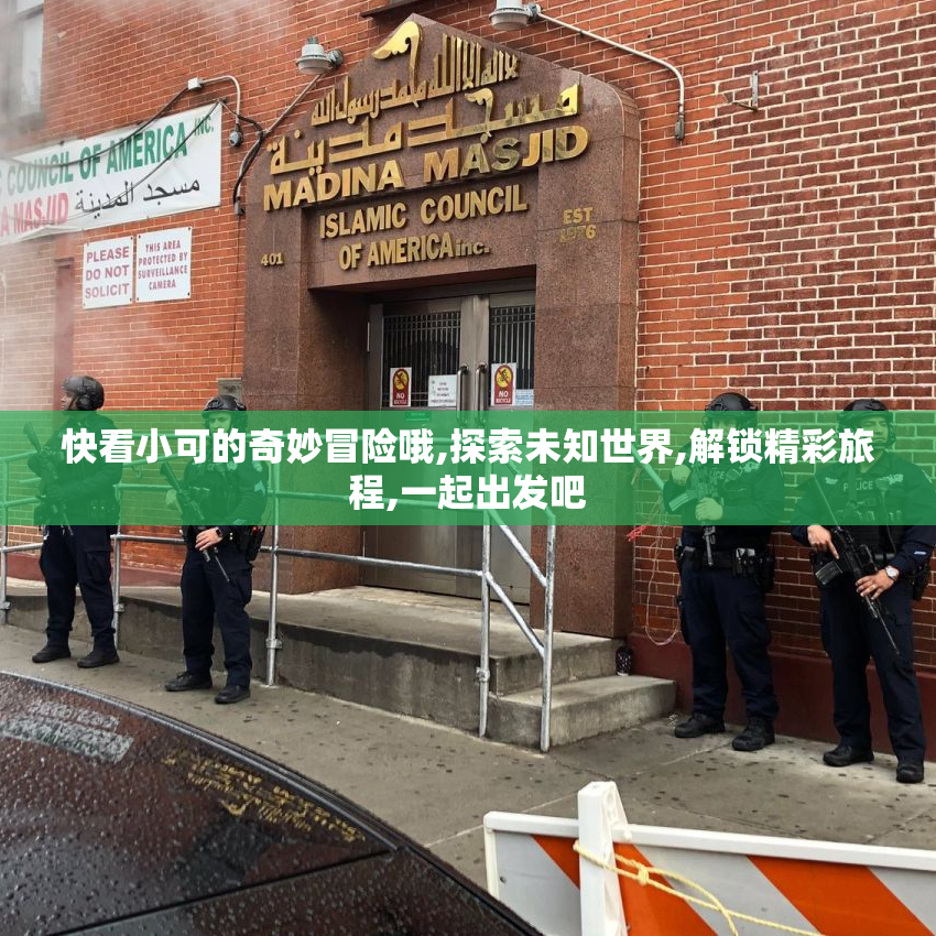 快看小可的奇妙冒险哦,探索未知世界,解锁精彩旅程,一起出发吧