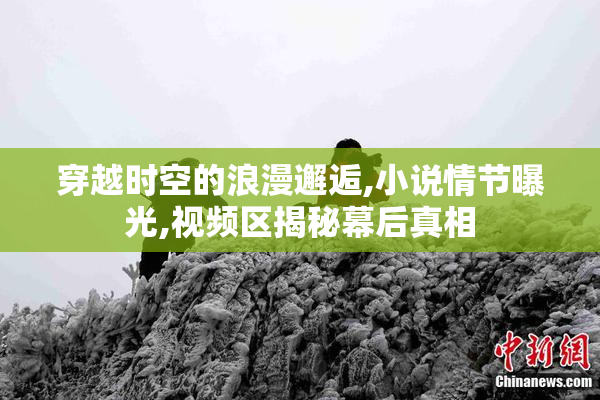 穿越时空的浪漫邂逅,小说情节曝光,视频区揭秘幕后真相