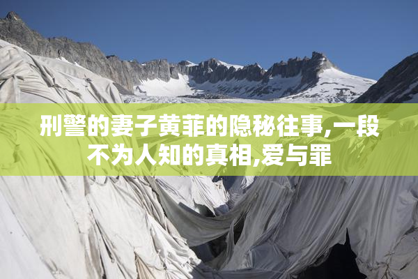刑警的妻子黄菲的隐秘往事,一段不为人知的真相,爱与罪