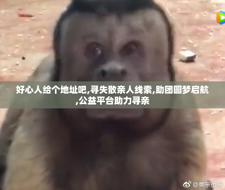 好心人给个地址吧,寻失散亲人线索,助团圆梦启航,公益平台助力寻亲