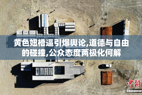 黄色妞槽逼引爆舆论,道德与自由的碰撞,公众态度两极化何解