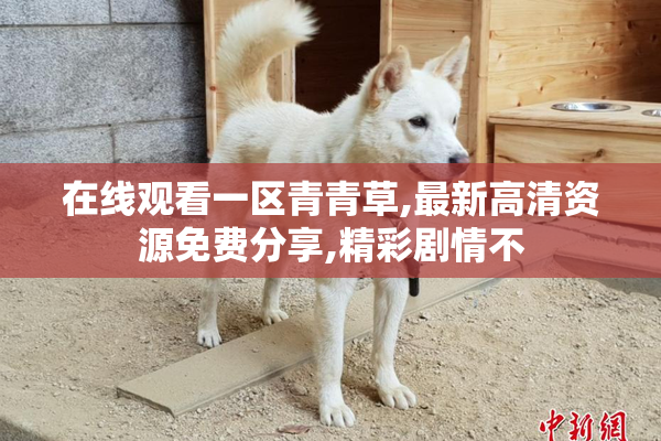 在线观看一区青青草,最新高清资源免费分享,精彩剧情不