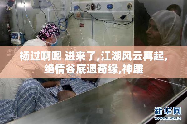 杨过啊嗯 进来了,江湖风云再起,绝情谷底遇奇缘,神雕
