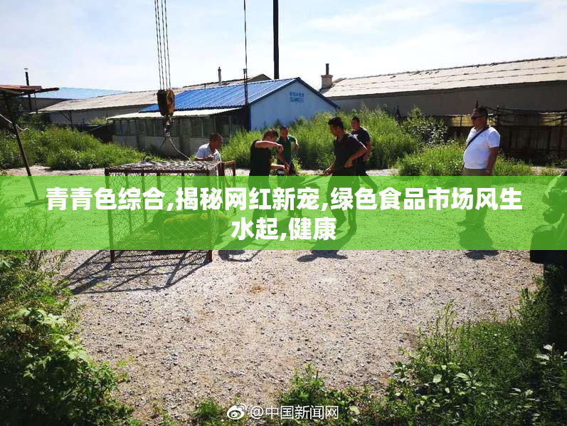 青青色综合,揭秘网红新宠,绿色食品市场风生水起,健康