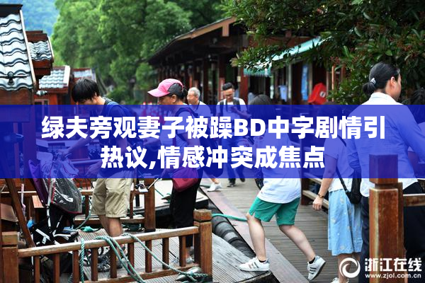 绿夫旁观妻子被躁BD中字剧情引热议,情感冲突成焦点