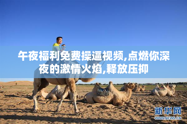 午夜福利免费操逼视频,点燃你深夜的激情火焰,释放压抑