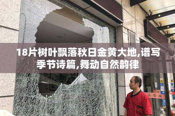 18片树叶飘落秋日金黄大地,谱写季节诗篇,舞动自然韵律