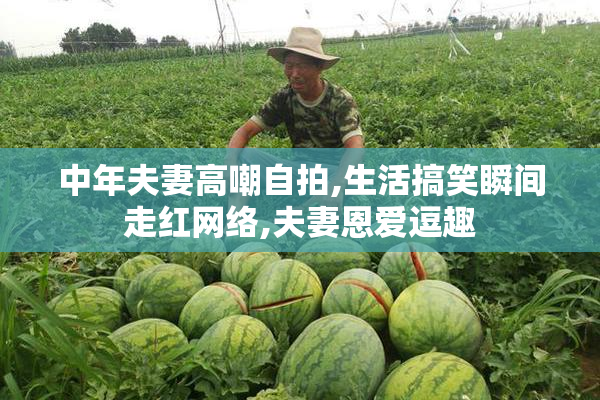 中年夫妻高嘲自拍,生活搞笑瞬间走红网络,夫妻恩爱逗趣