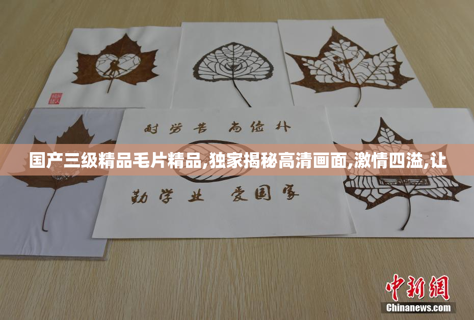 国产三级精品毛片精品,独家揭秘高清画面,激情四溢,让
