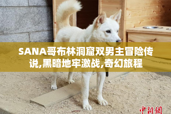 SANA哥布林洞窟双男主冒险传说,黑暗地牢激战,奇幻旅程