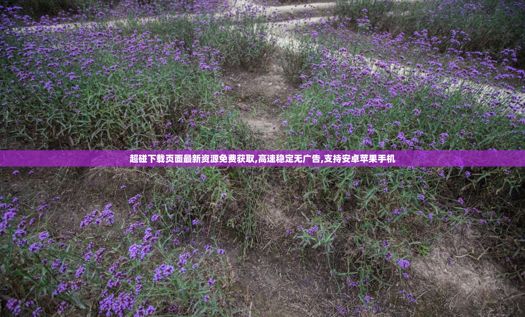 超碰下载页面最新资源免费获取,高速稳定无广告,支持安卓苹果手机