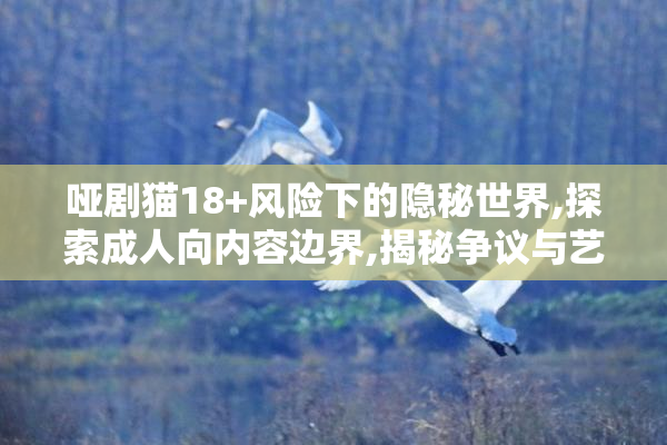 哑剧猫18+风险下的隐秘世界,探索成人向内容边界,揭秘争议与艺术表达