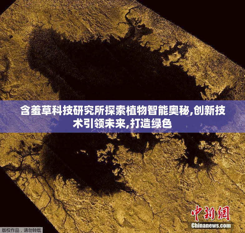 含羞草科技研究所探索植物智能奥秘,创新技术引领未来,打造绿色