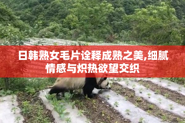 日韩熟女毛片诠释成熟之美,细腻情感与炽热欲望交织