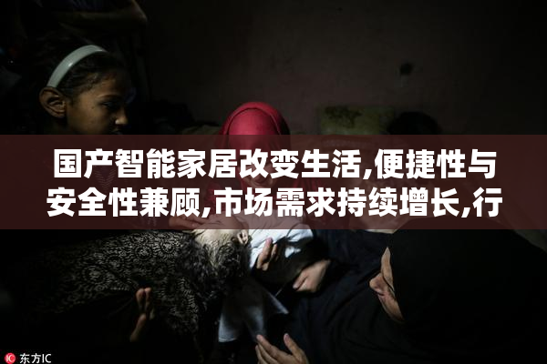 国产智能家居改变生活,便捷性与安全性兼顾,市场需求持续增长,行业