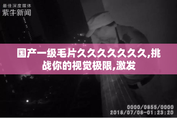 国产一级毛片久久久久久久久,挑战你的视觉极限,激发