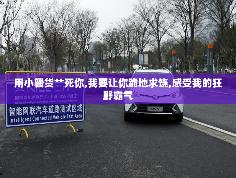 用小骚货艹死你,我要让你跪地求饶,感受我的狂野霸气