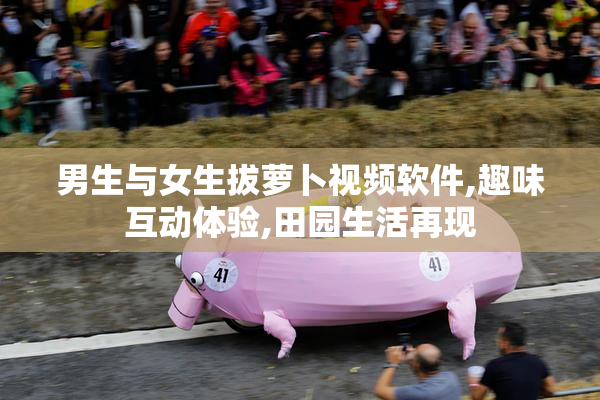 男生与女生拔萝卜视频软件,趣味互动体验,田园生活再现