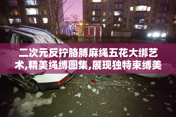 二次元反拧胳膊麻绳五花大绑艺术,精美绳缚图集,展现独特束缚美学