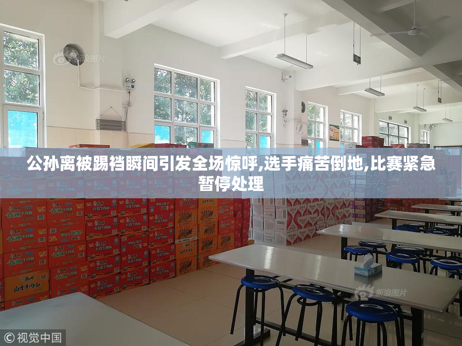 公孙离被踢裆瞬间引发全场惊呼,选手痛苦倒地,比赛紧急暂停处理