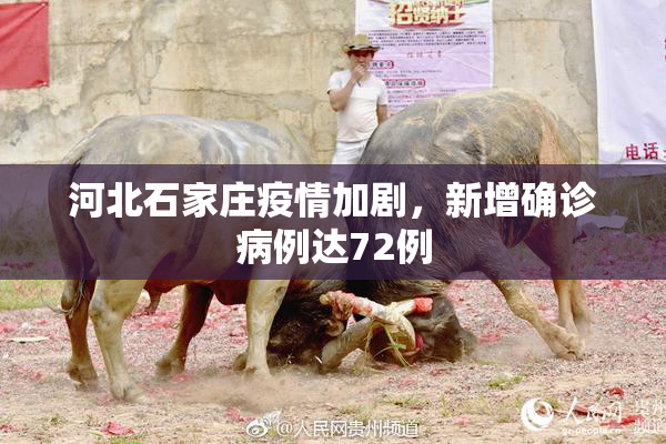 河北石家庄疫情加剧，新增确诊病例达72例