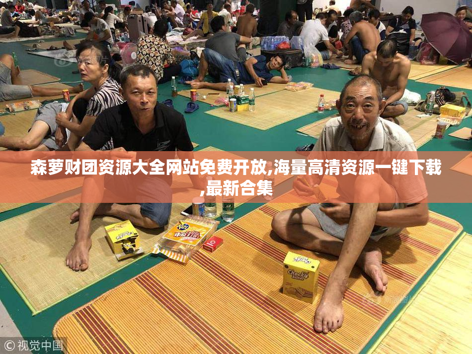 森萝财团资源大全网站免费开放,海量高清资源一键下载,最新合集