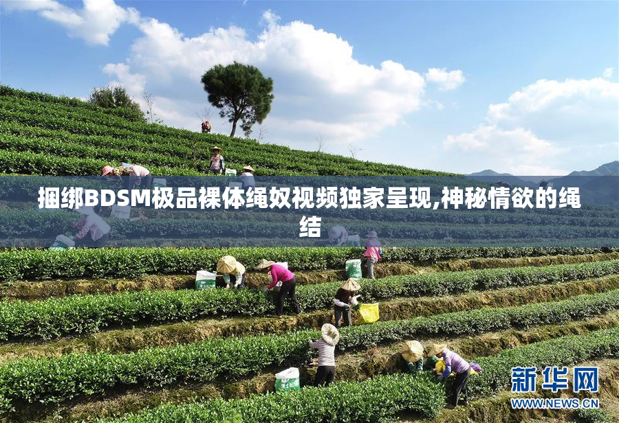 捆绑BDSM极品裸体绳奴视频独家呈现,神秘情欲的绳结