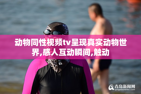 动物同性视频tv呈现真实动物世界,感人互动瞬间,触动