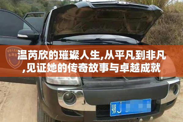温芮欣的璀璨人生,从平凡到非凡,见证她的传奇故事与卓越成就