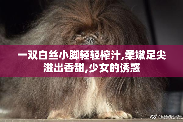 一双白丝小脚轻轻榨汁,柔嫩足尖溢出香甜,少女的诱惑
