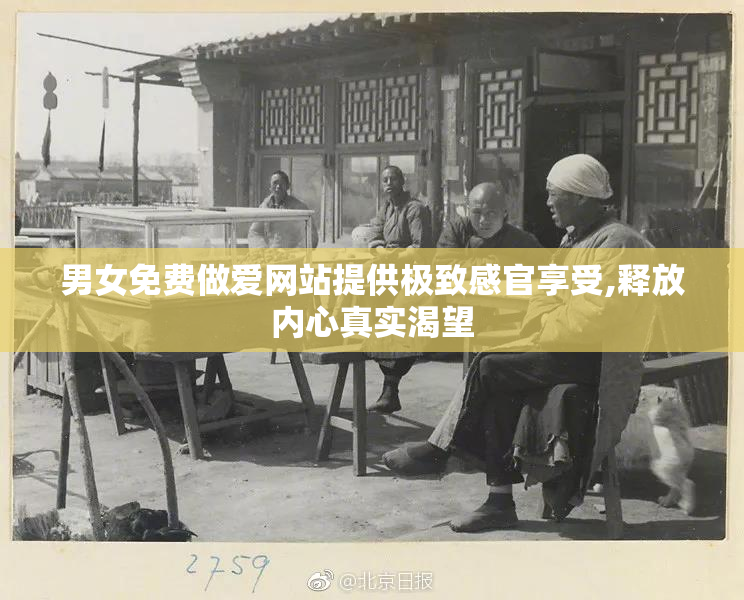 男女免费做爱网站提供极致感官享受,释放内心真实渴望