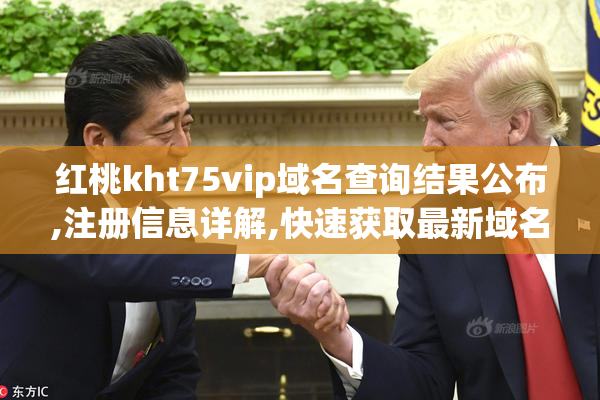 红桃kht75vip域名查询结果公布,注册信息详解,快速获取最新域名状态
