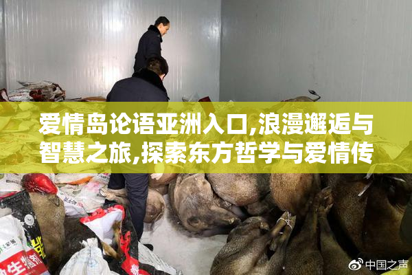 爱情岛论语亚洲入口,浪漫邂逅与智慧之旅,探索东方哲学与爱情传说