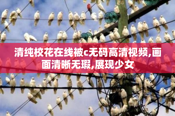 清纯校花在线被c无码高清视频,画面清晰无瑕,展现少女
