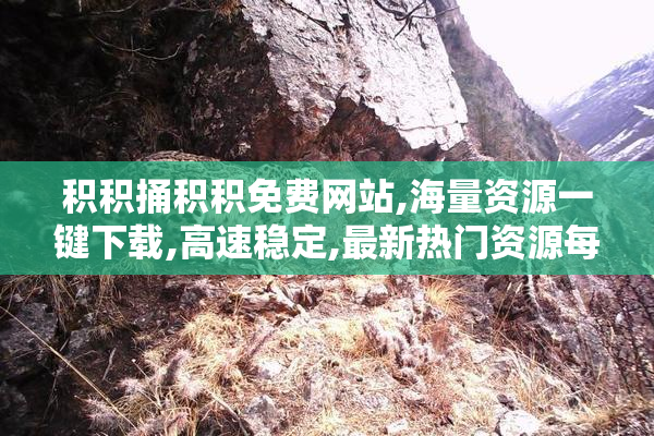 积积捅积积免费网站,海量资源一键下载,高速稳定,最新热门资源每日
