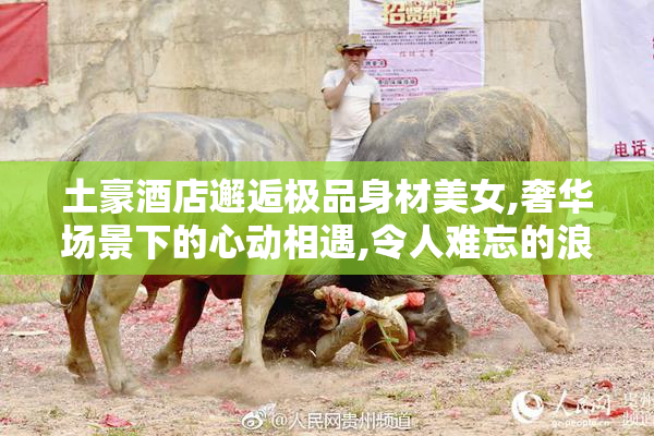 土豪酒店邂逅极品身材美女,奢华场景下的心动相遇,令人难忘的浪漫