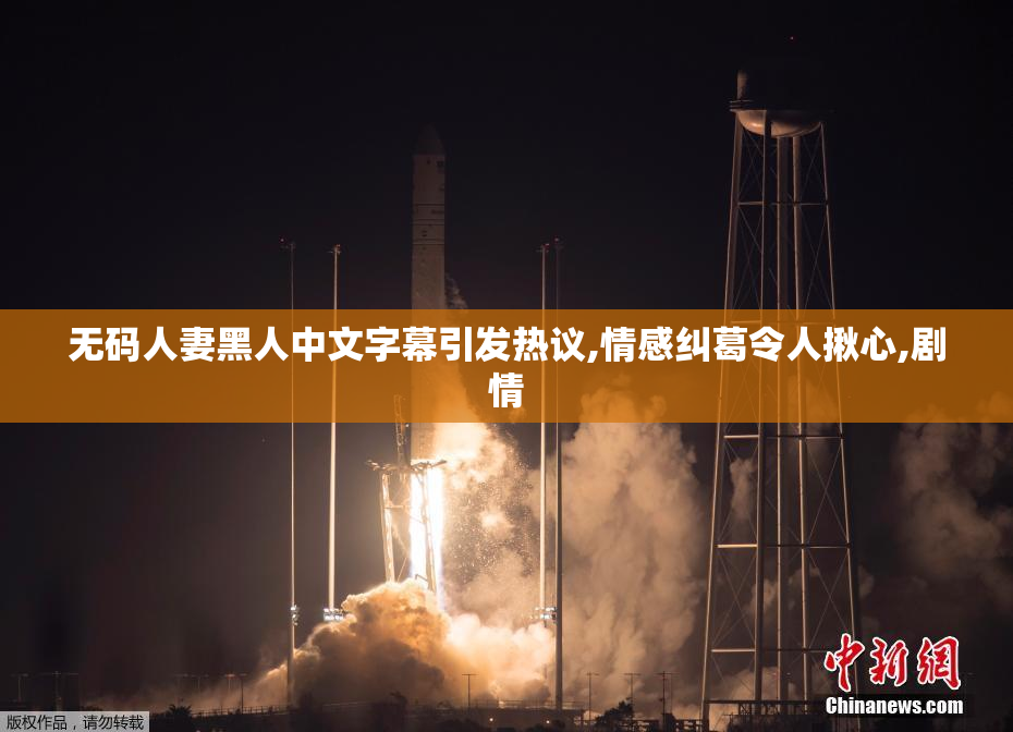 无码人妻黑人中文字幕引发热议,情感纠葛令人揪心,剧情