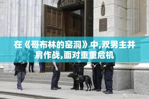 在《哥布林的窑洞》中,双男主并肩作战,面对重重危机
