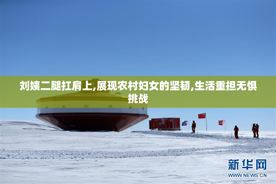 刘姨二腿扛肩上,展现农村妇女的坚韧,生活重担无惧挑战