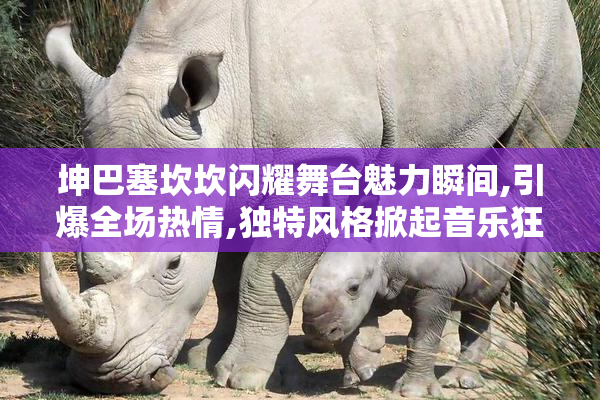 坤巴塞坎坎闪耀舞台魅力瞬间,引爆全场热情,独特风格掀起音乐狂潮